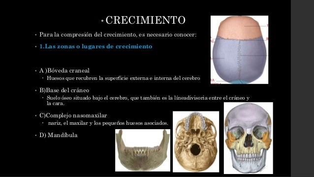 crecimiento craneo facial condilar Crecimiento craneo facial condilar